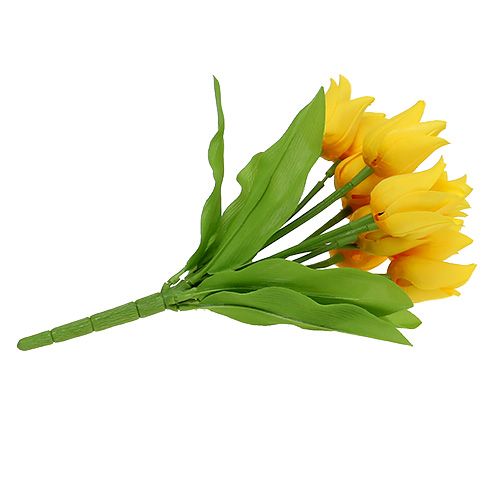 Floristik24 Cespuglio di tulipani Giallo H30cm