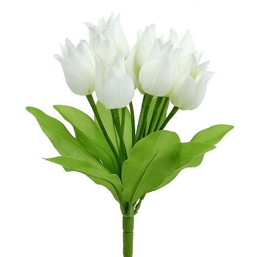 Floristik24 Cespuglio di tulipani bianco 30cm