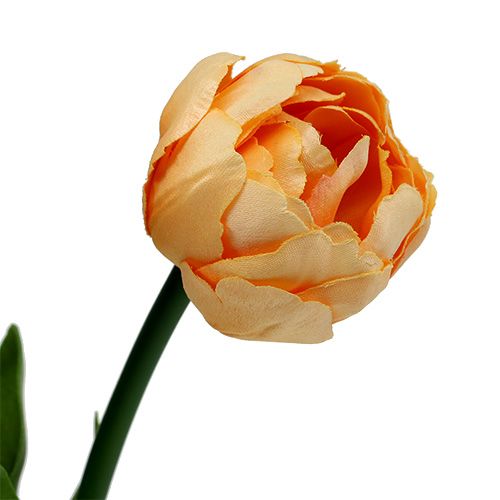 Prodotto Bouquet di tulipani albicocca 43 cm