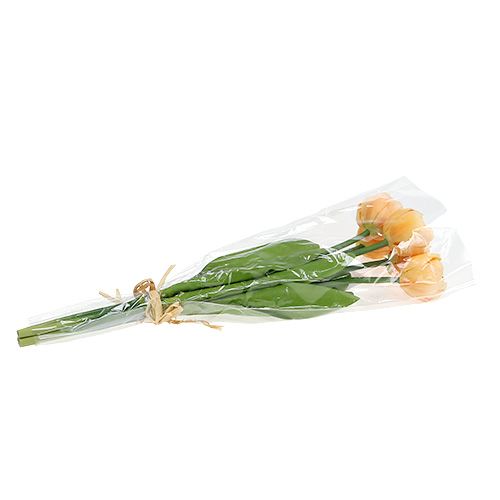 Floristik24 Bouquet di tulipani albicocca 43 cm