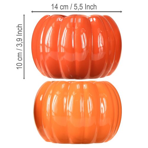 Prodotto Fioriera in ceramica zucca arancione assortita Ø14cm H10cm 2 pezzi