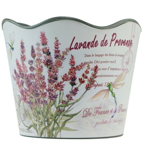 Floristik24 Vaso da fiori in plastica lavanda Ø13,5 cm H12 cm