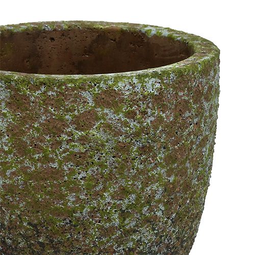 Floristik24 Grigio in muratura, verde Ø14cm H14cm 2 pezzi