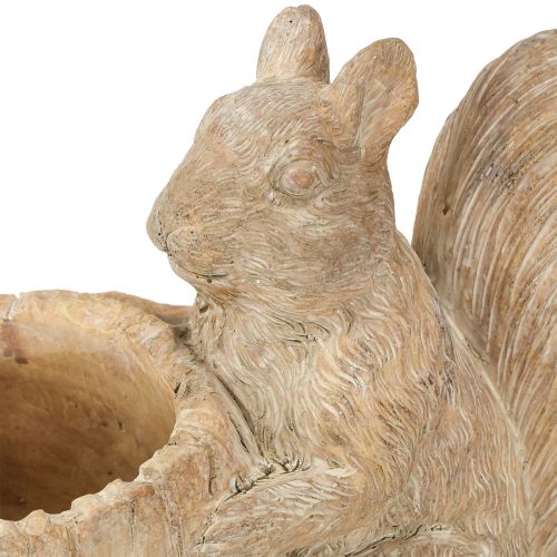 Prodotto Fioriera con decorazione in pietra fusa a forma di scoiattolo 26×14×19cm