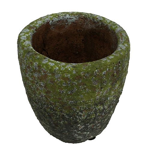 Floristik24 Fioriera con muschio Ø10cm H10,5cm 4 pezzi