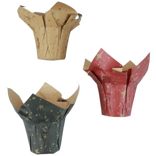 Prodotto Stelle di carta per fioriere rosso/antracite/naturale Ø12cm H12cm 9pz