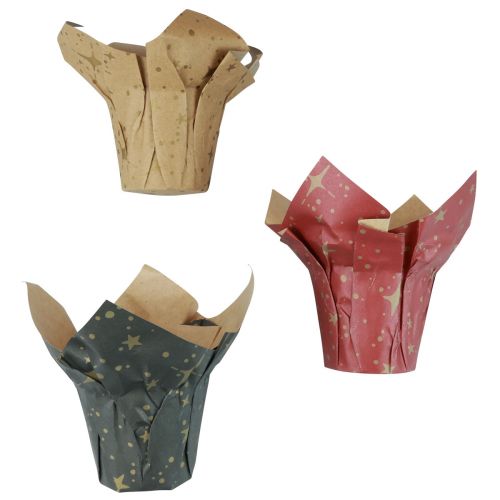 Prodotto Stelle di carta per fioriera rossa/antracite/naturale Ø9,5 cm A10 cm 9 pezzi