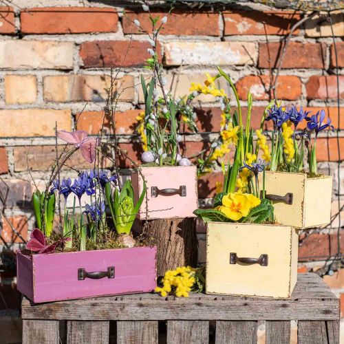 Floristik24 Fioriera cassetto legno deco viola 25×13×9cm