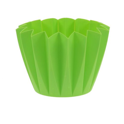 Floristik24 Vaso Adonis Verde 14 cm 20 pz