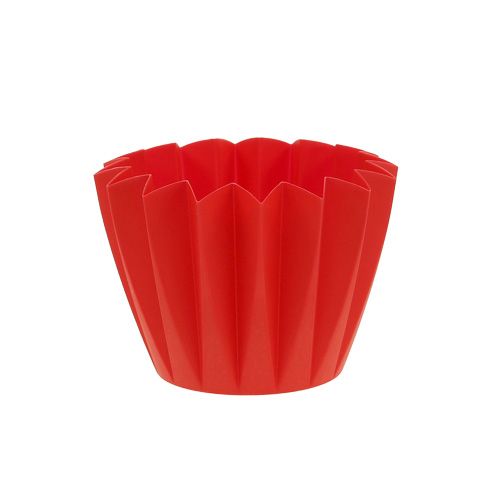 Floristik24 Vaso Adonis Rosso 11 cm 20 pz