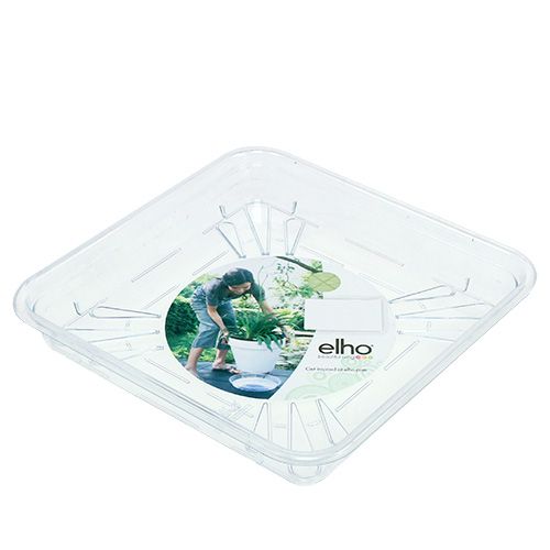 Floristik24 Sottobicchieri 20x20cm trasparenti, 1pz