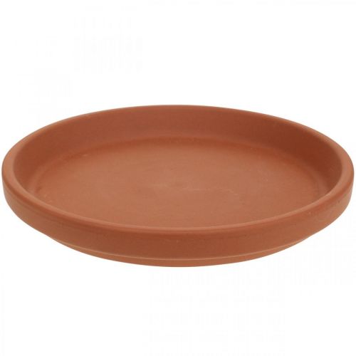 Floristik24 Sottobicchiere in terracotta, vaso in ceramica Ø17,5cm