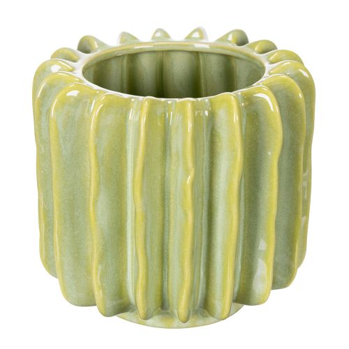 Floristik24 Vaso per cactus, ciotola ideale per accenti esotici per la casa, 16 cm