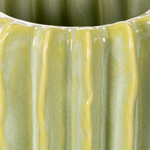Prodotto Vaso per cactus, ciotola ideale per accenti esotici per la casa, 16 cm