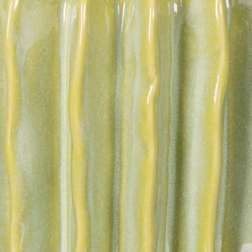 Prodotto Vaso per cactus, ciotola ideale per accenti esotici per la casa, 16 cm