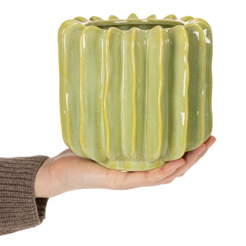 Prodotto Vaso per cactus, ciotola ideale per accenti esotici per la casa, 16 cm