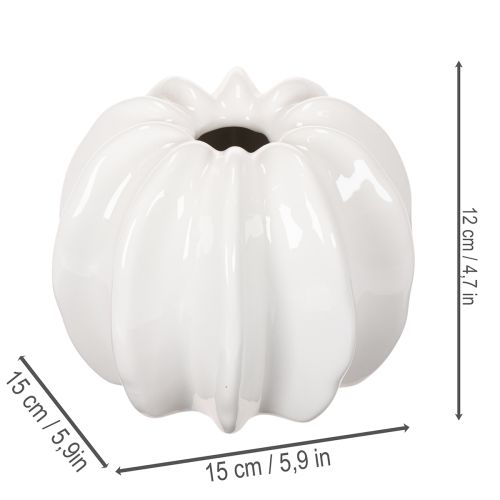 Vaso in ceramica a forma di zucca, bianco, decorazione per la casa, 15 cm | Floristik24.it