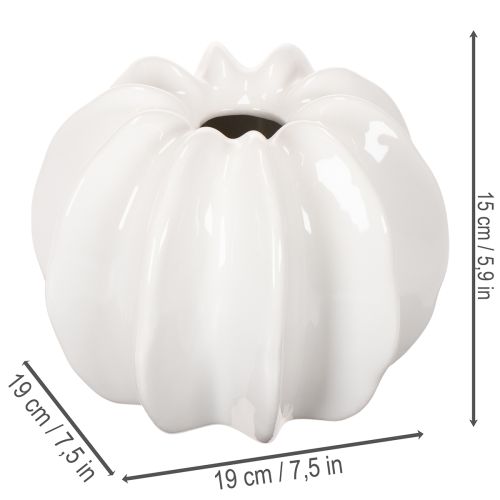 Vaso decorativo a forma di zucca, lucido, decorazione autunnale per soggiorno, 19 cm | Floristik24.it