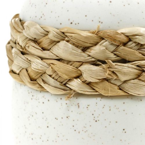 Prodotto Vaso da fiori in ceramica bianca con alghe marine, altezza 10,5 cm, 2 pezzi