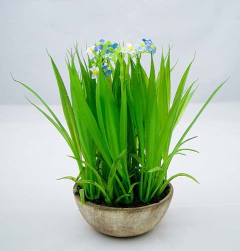 Floristik24 Nontiscordardime con erba e ciotola 18 cm