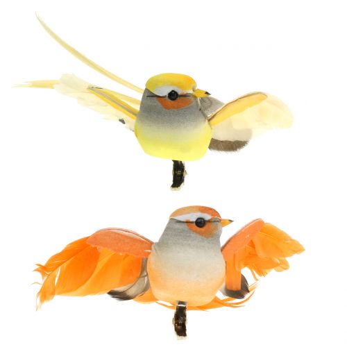 Floristik24 Bird on clip arancione 14 cm 8 pezzi