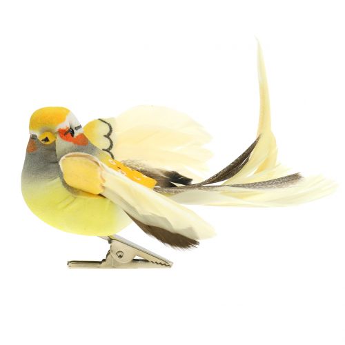 Floristik24 Bird on clip arancione 14 cm 8 pezzi