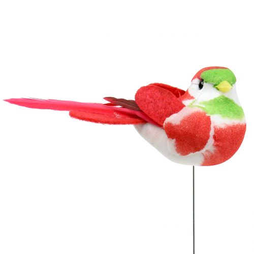 Floristik24 Uccelli su filo colorato 8cm 12pz