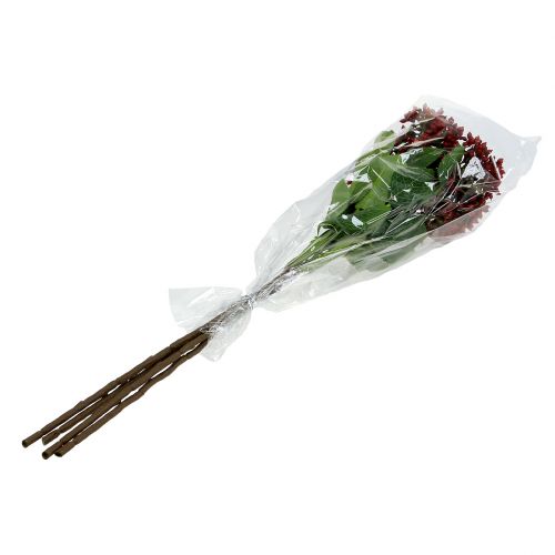 Floristik24 Ramo di bacche bacche di viburno rosso 54cm 4 pezzi