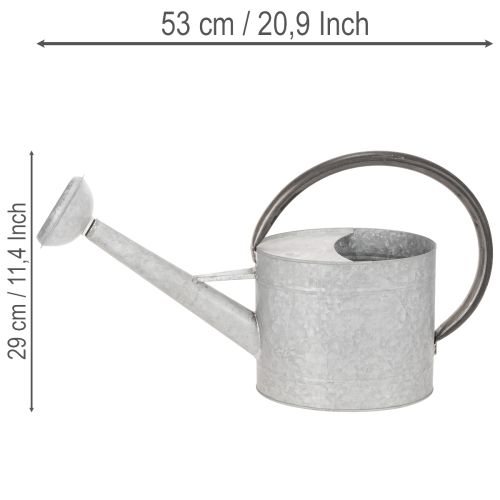 Annaffiatoio vintage in metallo, grigio argento, elegante decorazione da giardino, vaso per fiori, L53cm H29cm | Floristik24.it