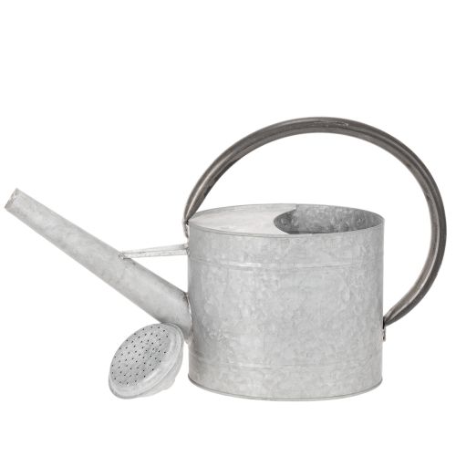 Annaffiatoio vintage in metallo, grigio argento, elegante decorazione da giardino, vaso per fiori, L53cm H29cm | Floristik24.it