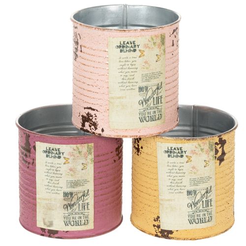Vaso/scatola in stile vintage con scritta decorativa per interni, 11 cm, 3 pezzi