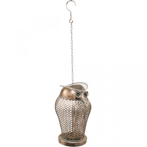 Floristik24 Lanterna Vintage Gufo Lanterna da Giardino Portacandele Oro H29cm