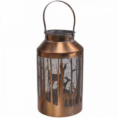 Floristik24 Lanterna vintage da giardino foresta cervo lanterna Ø19cm H33cm