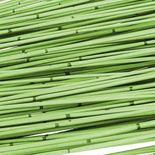 Floristik24 Canna Vlei 400g verde chiaro