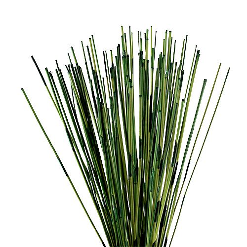 Floristik24 Vlei Reed 400g Verde scuro