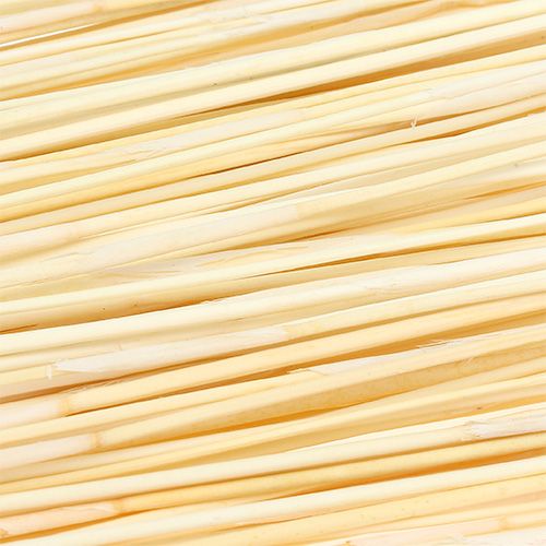 Floristik24 Vlei Reed 400g sbiancato