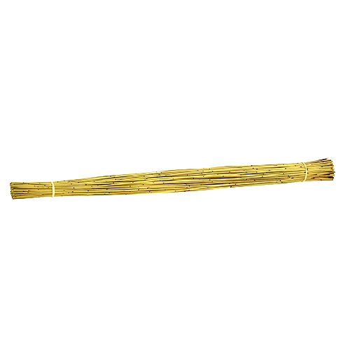 Floristik24 Canna Vlei 400g gialla