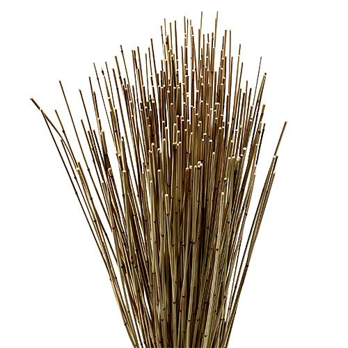 Floristik24 Vlei Reed 400g naturale