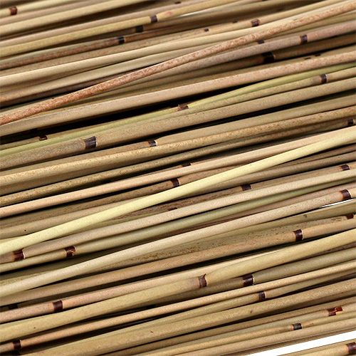 Floristik24 Vlei Reed 400g naturale
