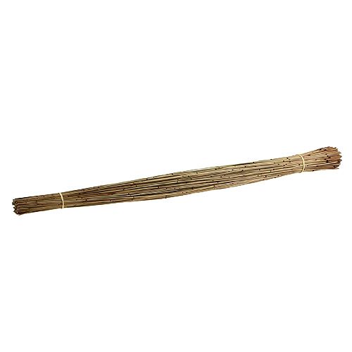 Floristik24 Vlei Reed 400g naturale