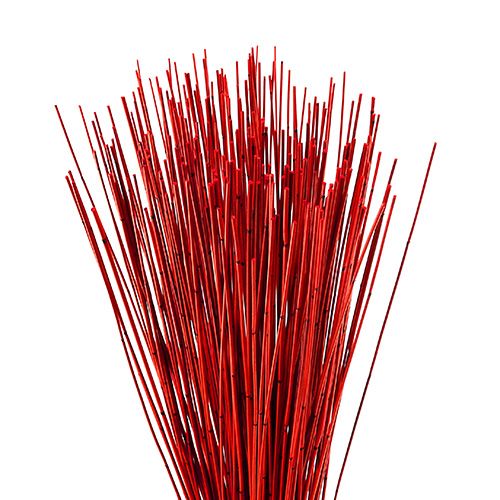Floristik24 Canna Vlei 400g Rossa