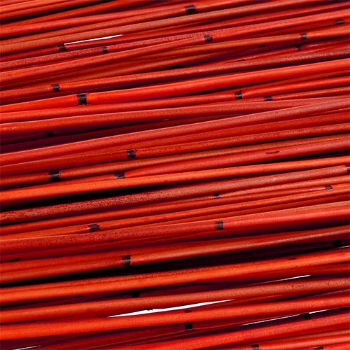 Floristik24 Canna Vlei 400g Rossa
