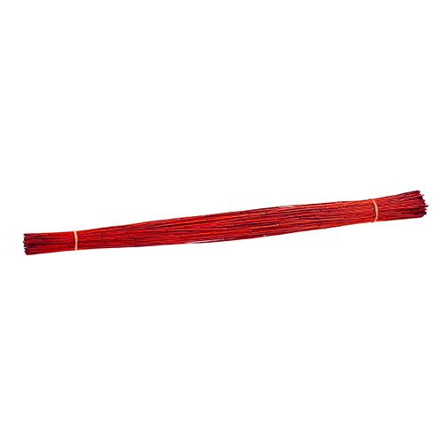 Floristik24 Canna Vlei 400g Rossa