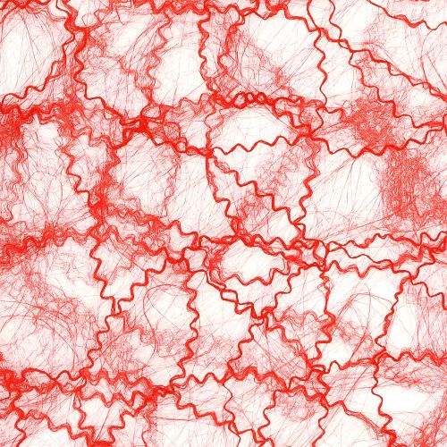 Floristik24 Tovaglia in pile rosso 30cmx25m