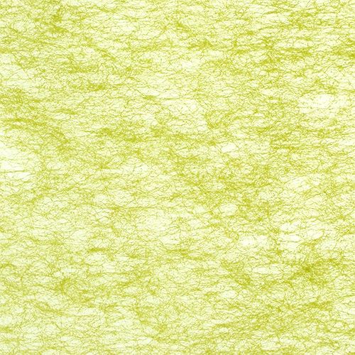 Floristik24 Vello verde oliva 23cm 25m