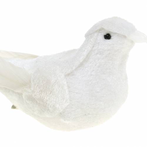 Floristik24 Colomba floccata con piume e clip bianco 13,5cm 4pz