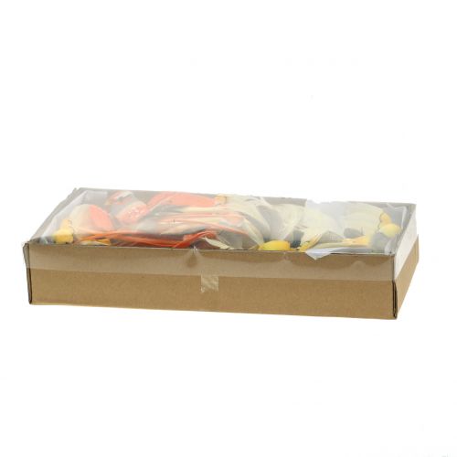 Floristik24 Uccello sul filo marrone / arancione 14 cm 12 pezzi