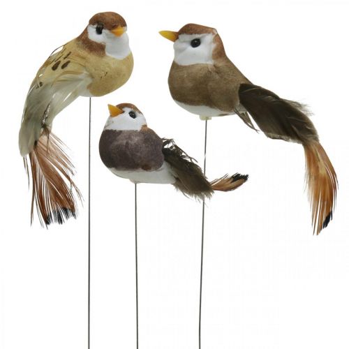 Floristik24 Decorazione primaverile, uccellini, uccellini decorativi su filo marrone, beige H2.5cm 24pz