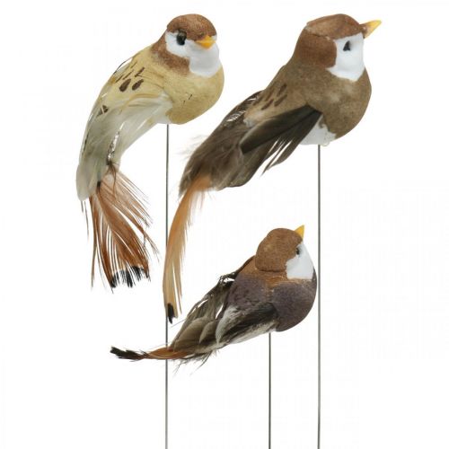 Floristik24 Decorazione primaverile, mini uccelli, uccelli decorativi su filo marrone, beige H2,5 cm 24 pz