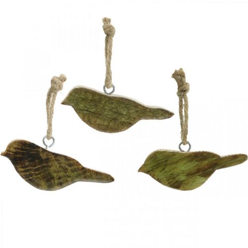 Floristik24 Uccelli da appendere, decorazione primaverile, appendiabiti in legno naturale, verde H4cm 6 pz